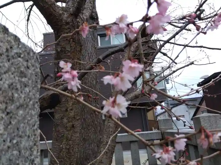 犀川神社(石川県)
