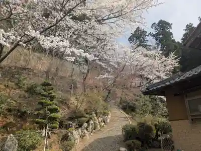 萬徳寺(福井県)