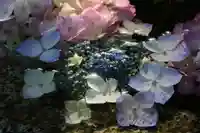 神炊館神社 ⁂奥州須賀川総鎮守⁂の手水舎