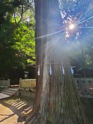 賀茂神社の庭園
