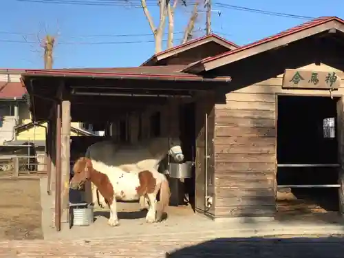 小室浅間神社の動物