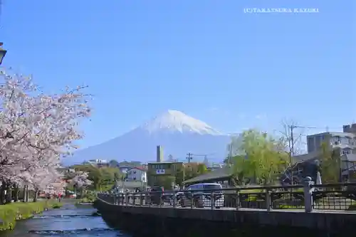 富士山本宮浅間大社(静岡県)