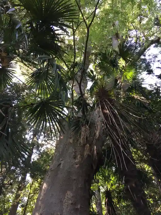 有賀神社の自然
