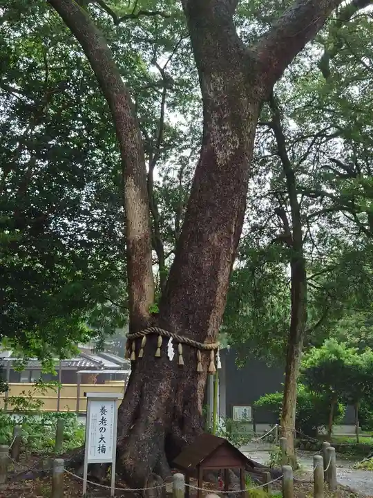 飯盛神社(福岡県)