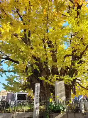 善福寺(東京都)