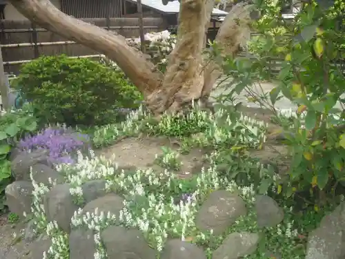 補陀落寺の庭園