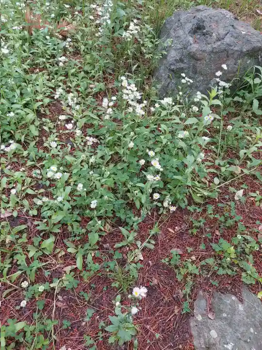 刺田比古神社(和歌山県)