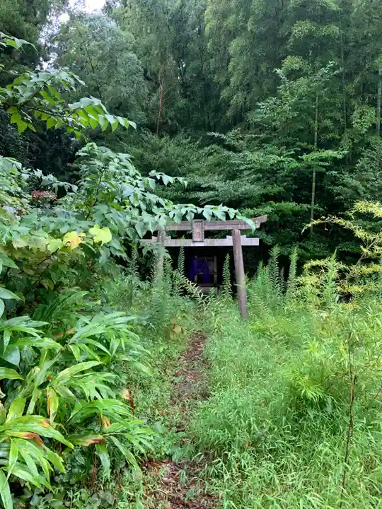 稲荷神社(千葉県)
