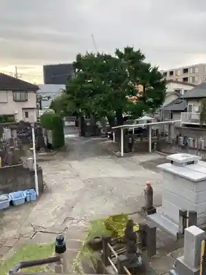 最上寺(東京都)