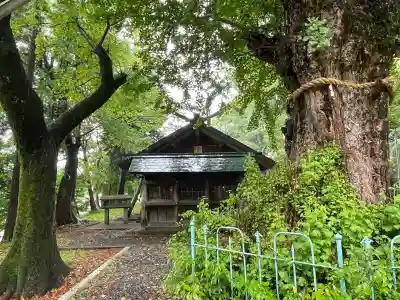 鞆江神社（明地）の{uncategorized: "未分類", other: "その他", undefined: "問題あり", building: "その他建物", grave: "お墓", sacred_gate: "鳥居", guardian: "狛犬", statue: "像", buddha: "仏像", history: "歴史", nature: "自然", garden: "庭園", animal: "動物", pagoda: "塔", temizu: "手水舎", mountain_gate: "山門・神門", sanctuary: "本殿・本堂", subordinate: "末社・摂社", art: "芸術", scenery: "景色", jizo: "地蔵", ema: "絵馬", goshuin: "御朱印", omikuji: "おみくじ", items: "授与品その他", amulet: "お守り", goshuincho: "御朱印帳", eats: "食事", festival: "お祭り", votive_dance: "神楽", shichigosan: "七五三参", wedding: "結婚式", experience: "体験その他", initially: "初詣", around: "周辺", anti_infection: "感染症対策"}