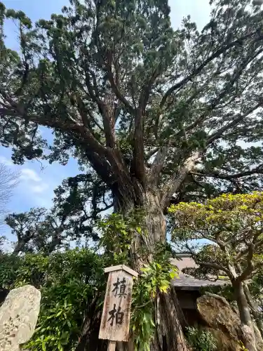 道成寺(和歌山県)