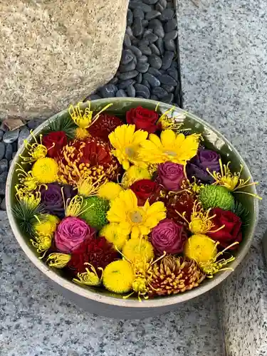 彌都加伎神社の手水舎