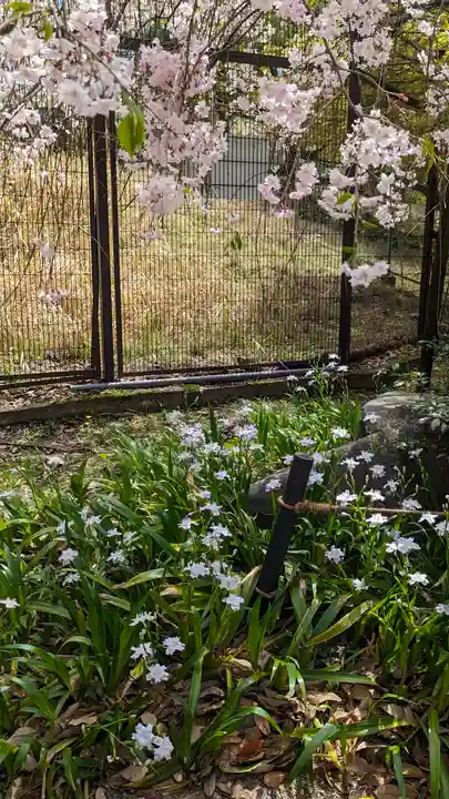 宇治上神社(京都府)