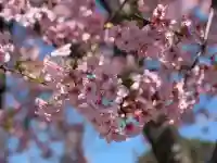普門院の{uncategorized: "未分類", other: "その他", undefined: "問題あり", building: "その他建物", grave: "お墓", sacred_gate: "鳥居", guardian: "狛犬", statue: "像", buddha: "仏像", history: "歴史", nature: "自然", garden: "庭園", animal: "動物", pagoda: "塔", temizu: "手水舎", mountain_gate: "山門・神門", sanctuary: "本殿・本堂", subordinate: "末社・摂社", art: "芸術", scenery: "景色", jizo: "地蔵", ema: "絵馬", goshuin: "御朱印", omikuji: "おみくじ", items: "授与品その他", amulet: "お守り", goshuincho: "御朱印帳", eats: "食事", festival: "お祭り", votive_dance: "神楽", shichigosan: "七五三参", wedding: "結婚式", experience: "体験その他", initially: "初詣", around: "周辺", anti_infection: "感染症対策"}