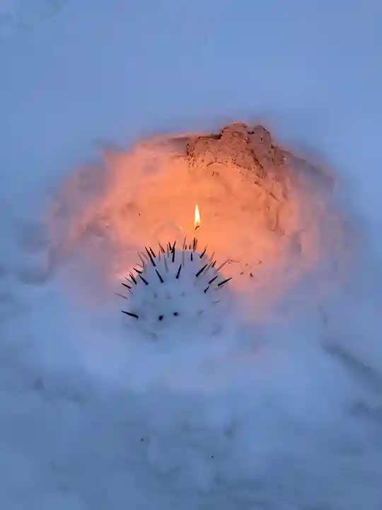 北広島市総鎮守 廣島神社の狛犬