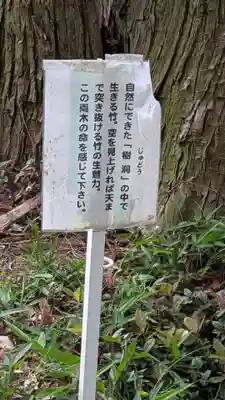 阿久津「田村神社」（郡山市阿久津町）旧社名：伊豆箱根三嶋三社(福島県)