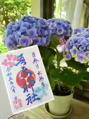 吾妻神社の御朱印