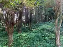 矢口神社の周辺