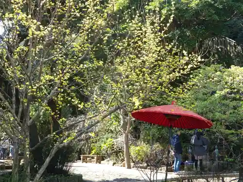 長谷寺(神奈川県)