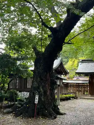 駒形神社(岩手県)