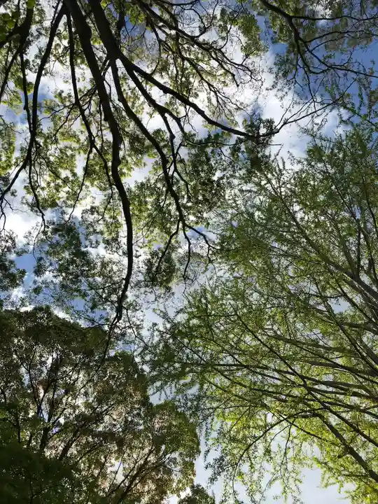 弘法寺(千葉県)