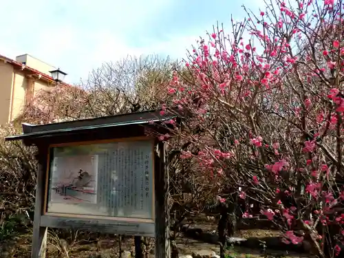 小村井 香取神社の庭園