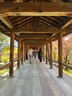 東福禅寺(東福寺)(京都府)