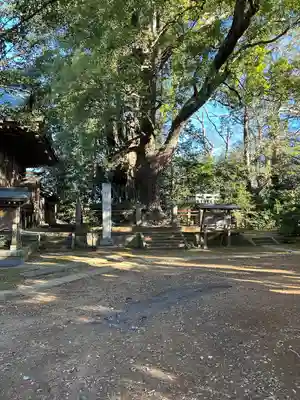 神崎神社(千葉県)