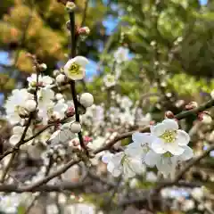 豊景神社の自然