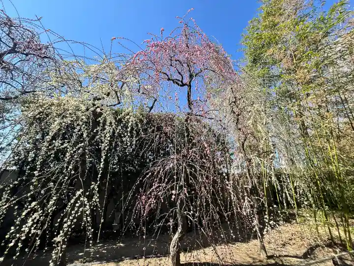 城南宮(京都府)