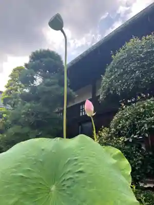 喜多院(埼玉県)