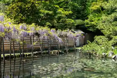 出雲大社神楽殿(島根県)