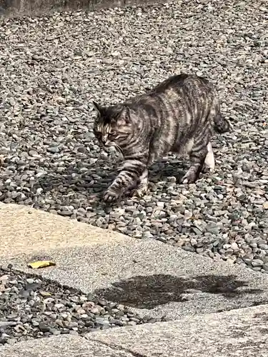 女塚神社(東京都)