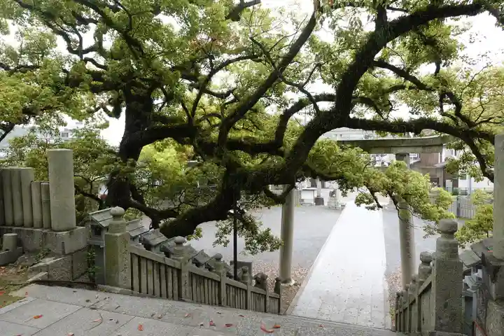 宇夫階神社(香川県)