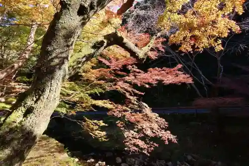大寧寺(山口県)