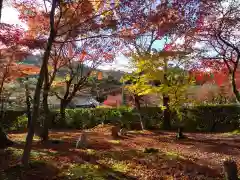 化野念仏寺(京都府)