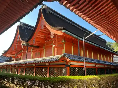 伊佐爾波神社の本殿・本堂
