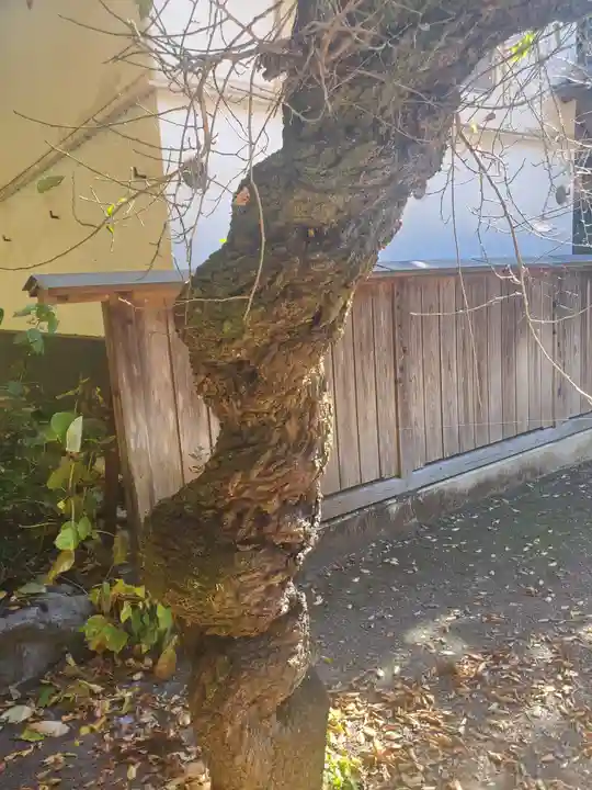 宇都宮神社(白岩町)のその他建物