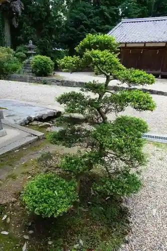 都祁水分神社の自然