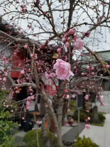 宝勝山　南藏院   蓮光寺の庭園