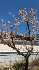 玉田神社(京都府)