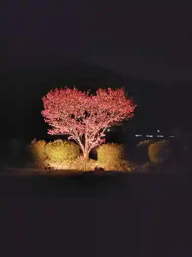 春日神社の庭園