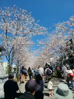 鶴岡八幡宮の{uncategorized: "未分類", other: "その他", undefined: "問題あり", building: "その他建物", grave: "お墓", sacred_gate: "鳥居", guardian: "狛犬", statue: "像", buddha: "仏像", history: "歴史", nature: "自然", garden: "庭園", animal: "動物", pagoda: "塔", temizu: "手水舎", mountain_gate: "山門・神門", sanctuary: "本殿・本堂", subordinate: "末社・摂社", art: "芸術", scenery: "景色", jizo: "地蔵", ema: "絵馬", goshuin: "御朱印", omikuji: "おみくじ", items: "授与品その他", amulet: "お守り", goshuincho: "御朱印帳", eats: "食事", festival: "お祭り", votive_dance: "神楽", shichigosan: "七五三参", wedding: "結婚式", experience: "体験その他", initially: "初詣", around: "周辺", anti_infection: "感染症対策"}