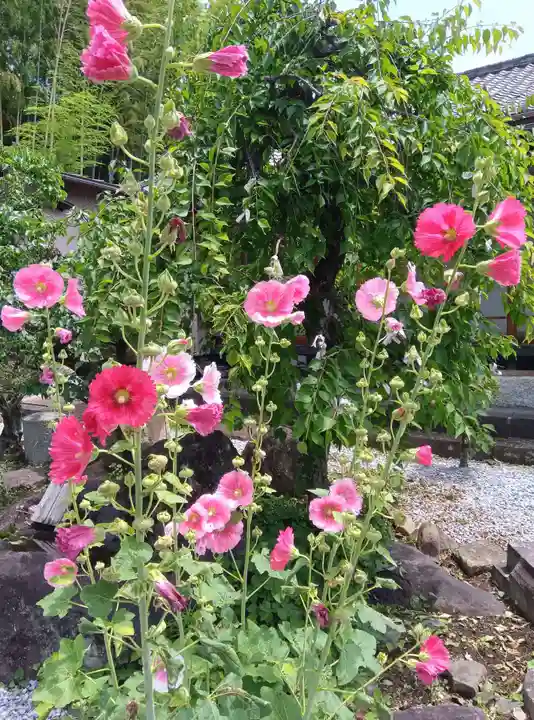 居神神社(神奈川県)
