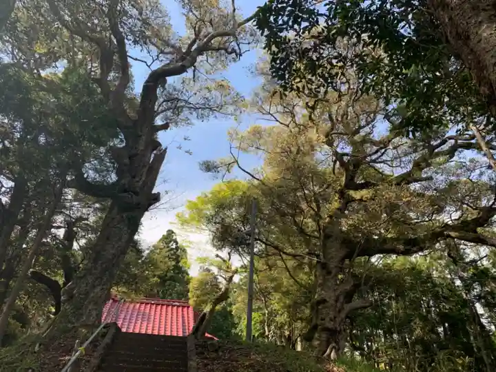 山神社(千葉県)