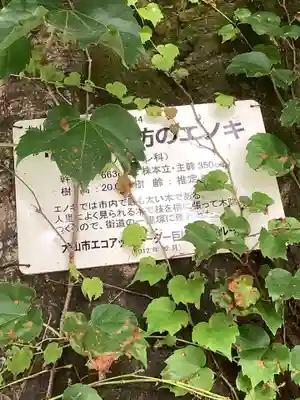 熱田神社の自然