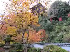 當麻寺中之坊の塔