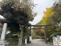 常磐神社(茨城県)