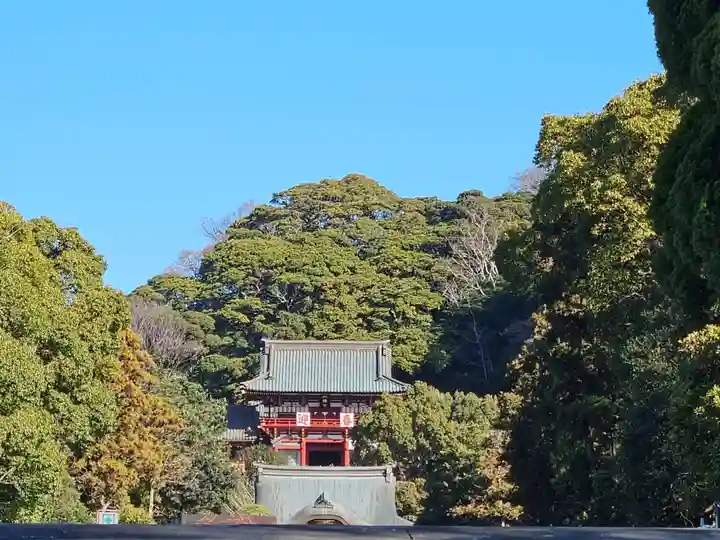 鶴岡八幡宮(神奈川県)