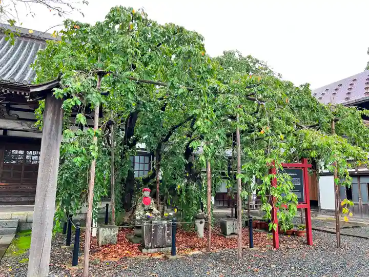 竜谷寺(岩手県)